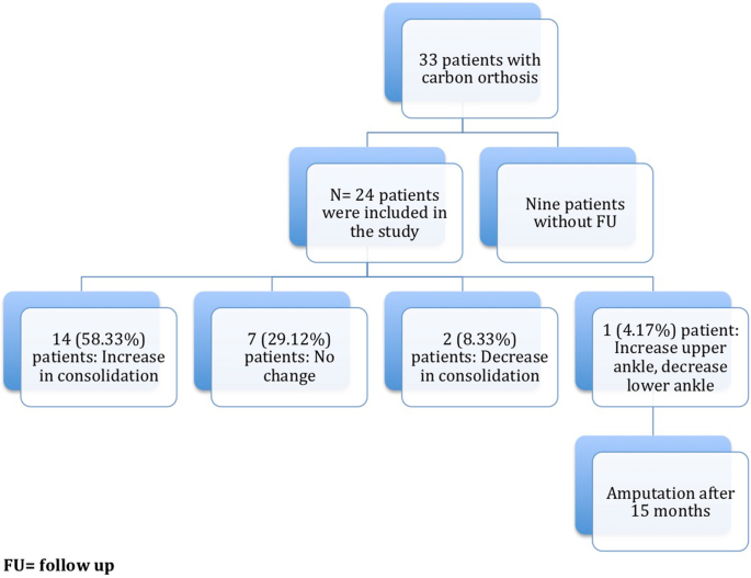 Analysis of bone transport for ankle arthrodesis as a limb salvage  procedure for the treatment of septic pilon fracture nonunion