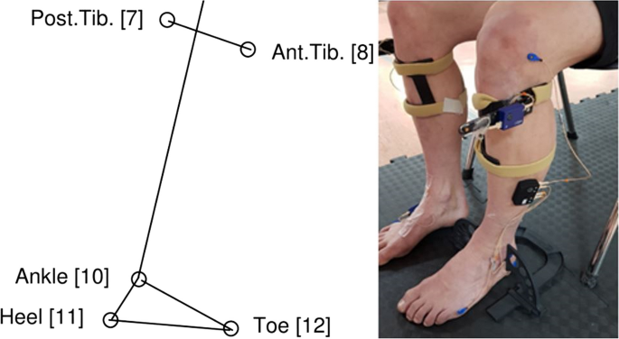 Effects of foot and ankle mobilisations combined with home