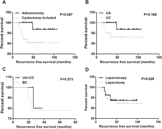 Oncological and reproductive outcomes after fertility-sparing surgery in  patients with seromucinous borderline ovarian tumor: Results of a large  retrospective study - ScienceDirect