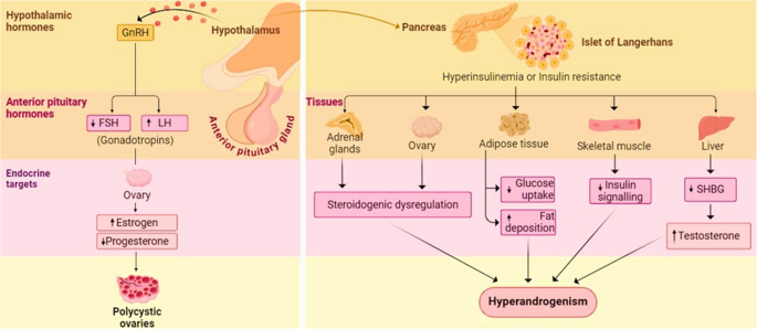 is glutathione safe for long term use How to Take Glutathione Effectively: Best Forms, Timing & Tips