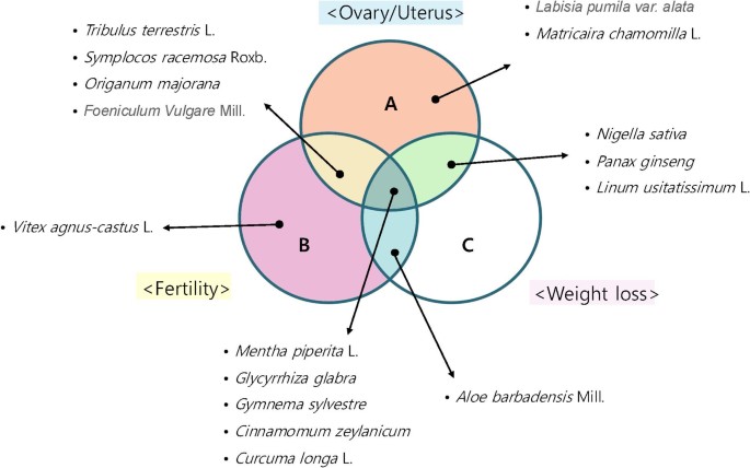 is glutathione safe for pcos Brown adipose tissue‐derived exosomes improve polycystic ovary syndrome in  mice via STAT3/GPX4 signaling pathway - Fang - 2024 - The FASEB Journal