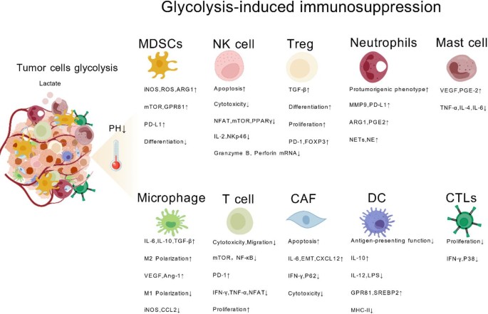 Molecular and cellular landscapes of the immune microenvironment and multiomic biomarker-sets in platinum-resistant recurrent ovarian cancers | Journal of Ovarian Research