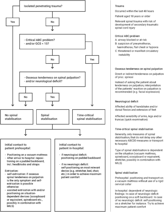 New clinical guidelines on the spinal stabilisation of adult trauma  patients – consensus and evidence based | Scandinavian Journal of Trauma,  Resuscitation and Emergency Medicine | Full Text