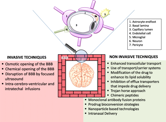 does semaglutide cross the blood brain barrier Crossing blood-brain with nanoparticles Study Reveals New Way to
