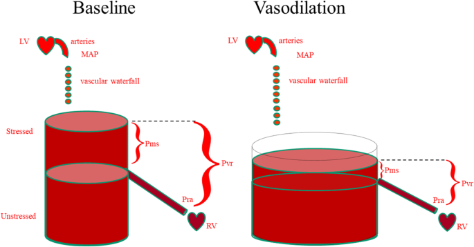 We should avoid the term “fluid overload”, Critical Care