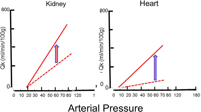 Blood Pressure: Definition, Measurement, Mechanism
