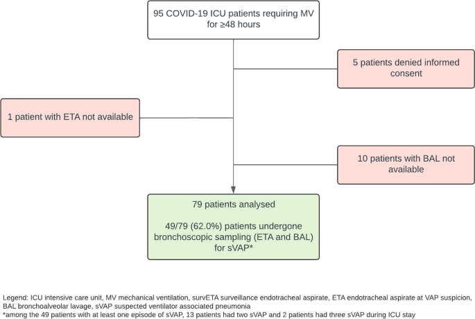 Incidence, microbiological and immunological characteristics of  ventilator-associated pneumonia assessed by bronchoalveolar lavage and endotracheal  aspirate in a prospective cohort of COVID-19 patients: CoV-AP study |  Critical Care | Full Text