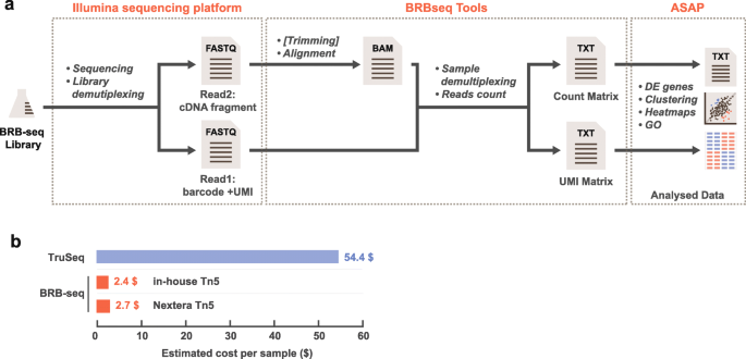 BRB Framework to Evaluate Technological Innovation Capability