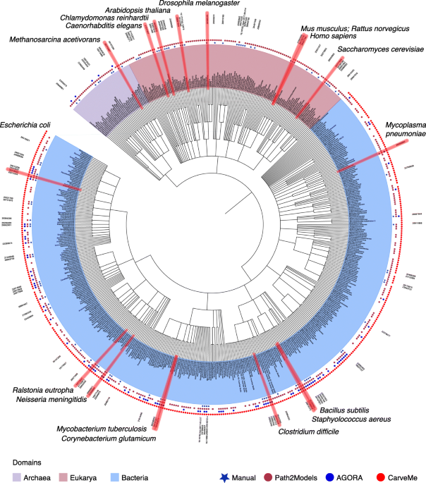 Network-based approaches for modeling disease regulation and