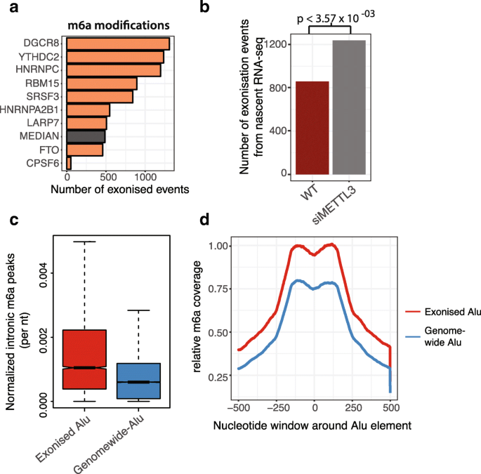 Evolutionary analysis of endogenous intronic retroviruses in primates  reveals an enrichment in transcription binding sites associated with key  regulatory processes [PeerJ]