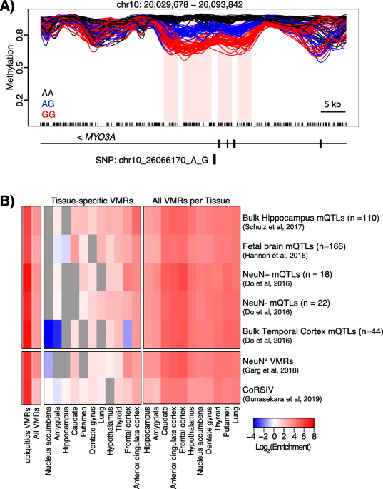 VariantAnnotation/R/methods-readVcf.R at devel ·  Bioconductor/VariantAnnotation · GitHub