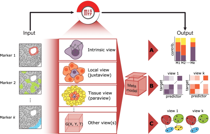 Descriptive statistics of the SMWEB meaningful dimensions in the First