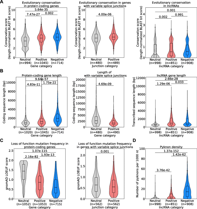 Identifying common transcriptome signatures of cancer by interpreting deep  learning models, Genome Biology