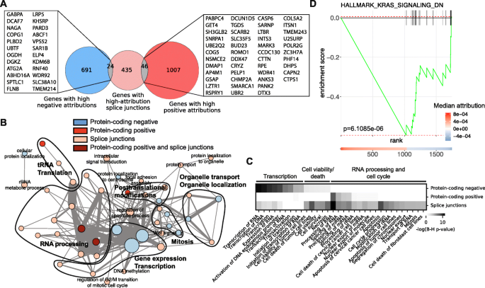 Identifying common transcriptome signatures of cancer by interpreting deep  learning models, Genome Biology