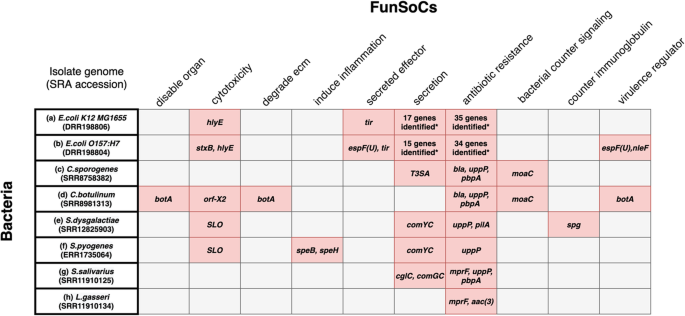 Cluster, Diep.io Wiki