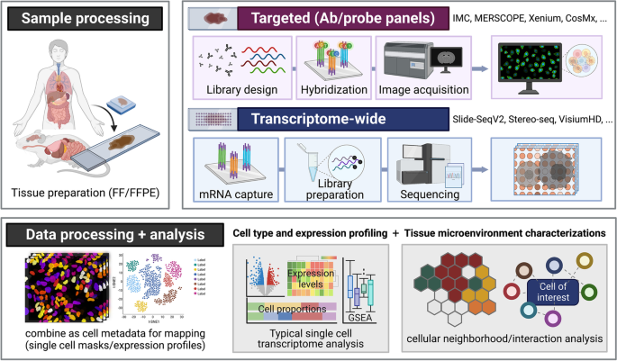 Single-Cell Proteomics with Spatial Attributes: Tools and Techniques