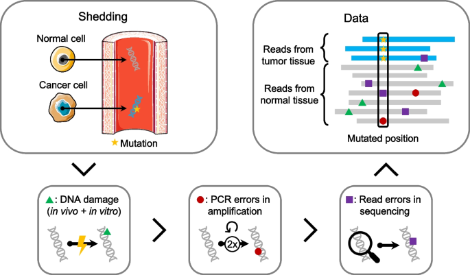 DREAMS: deep read-level error model for sequencing data applied to