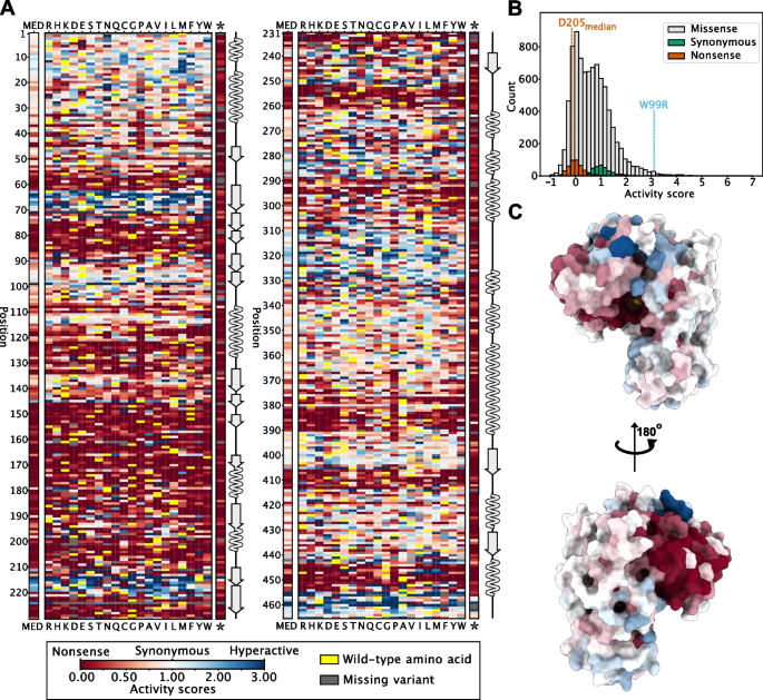 A comprehensive map of variant glucokinase human | | Text Genome activity Biology Full