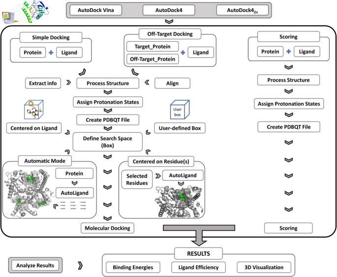AMDock: a versatile graphical tool for assisting molecular docking with  Autodock Vina and Autodock4 | Biology Direct | Full Text