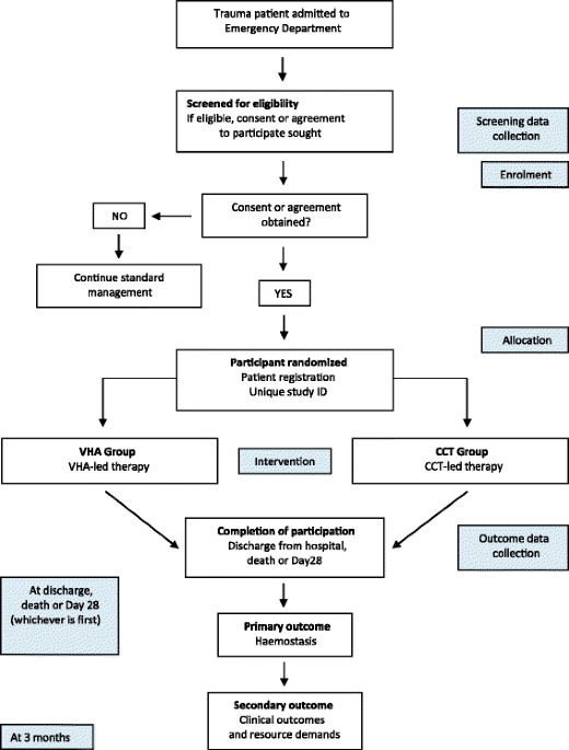 CONSORT diagram. CCT conventional coagulation test, VHA