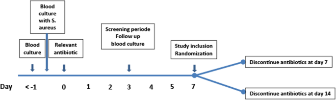 Relapse of Staphylococcus aureus bloodstream infection – patient  information sheet