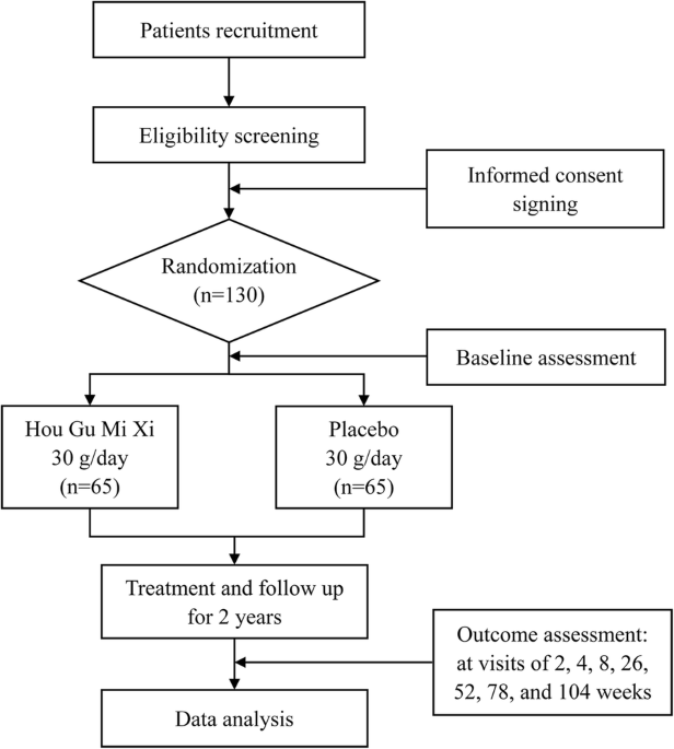 Study flow diagram. HGMX = Hou Gu Mi Xi.