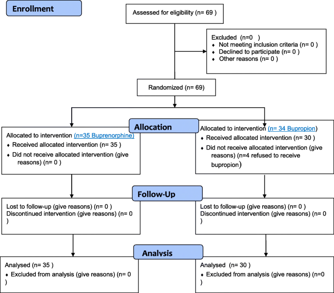 A randomized clinical trial on the effects of bupropion and buprenorphine  on the reduction of methamphetamine craving | Trials | Springer Nature Link