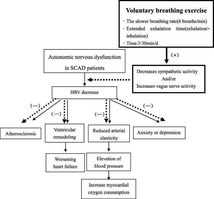 Primary outcomes from the literature on systematized breathing... |  Download Scientific Diagram