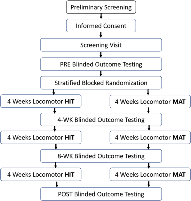 Exercise versus no exercise for the occurrence, severity and