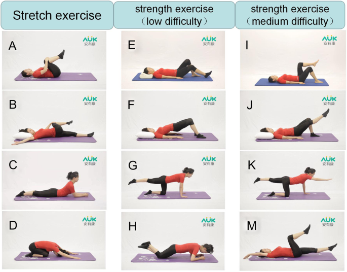 Effect of m-health-based core stability exercise combined with  self-compassion training for patients with non-specific chronic low back  pain: study protocol for a randomized controlled trial, Trials