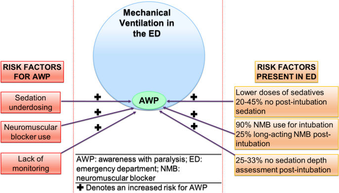 Grand average of event-related potentials recorded in the NMM, NM