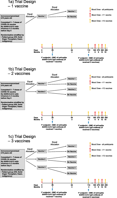 Bringing optimised COVID-19 vaccine schedules to immunocompromised populations (BOOST-IC): study protocol for an adaptive randomised controlled clinical trial