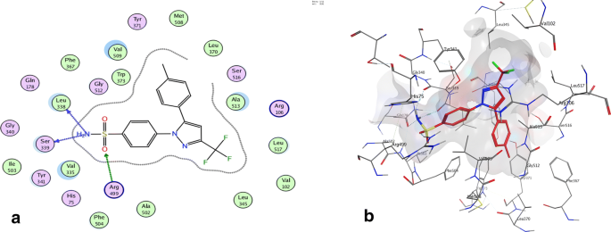 Synthesis of New Ester Derivatives of Salicylic Acid and Evaluation of  Their COX Inhibitory Potential - Koca - 2023 - Chemistry & Biodiversity -  Wiley Online Library