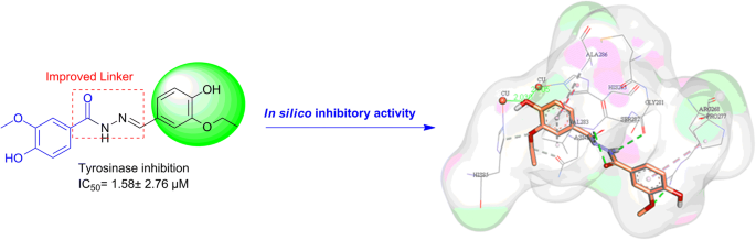 Synthesis, biological evaluation and molecular docking analysis of vanilinebenzylidenehydrazine hybrids as potent tyrosinase inhibitors | BMC Chemistry | Springer Nature Link Synthesis, biological evaluation and molecular docking analysis of vanilinebenzylidenehydrazine hybrids as potent tyrosinase inhibitors | BMC Chemistry | Springer Nature Link