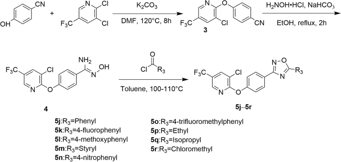 Oxadiazoles antibiotics