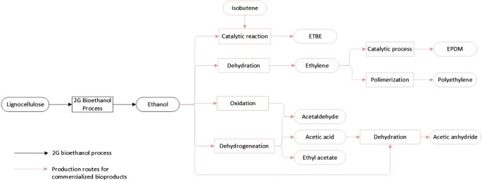 Bio-ethanol production: A route to sustainability of fuels using