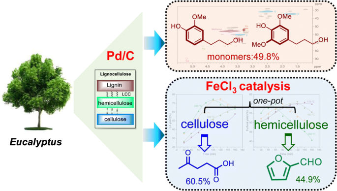 Kinetic and mechanistic insights into hydrogenolysis of lignin to