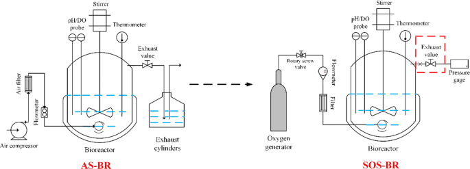 Glass Reactor-Double/Single 50L Jacketed Glass Reactors- WKIE Lab