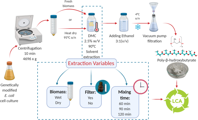 A Study of Salvaged Cyanobacteria Slurry Treatment Using Liquefied Dimethyl  Ether: Dehydration and Organic Matter Extraction