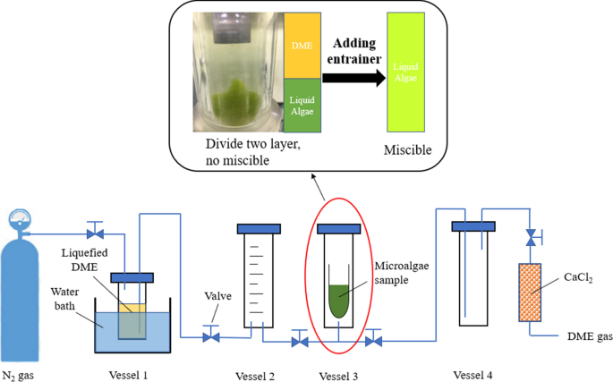 A Study of Salvaged Cyanobacteria Slurry Treatment Using Liquefied Dimethyl  Ether: Dehydration and Organic Matter Extraction