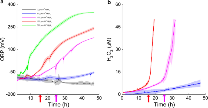 Variation trends of Wtur, Wcom, and Wnet with PRc for the sCO2/LiBr-H2O