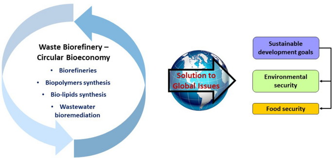 Biochemical biorefinery: A low-cost and non-waste concept for