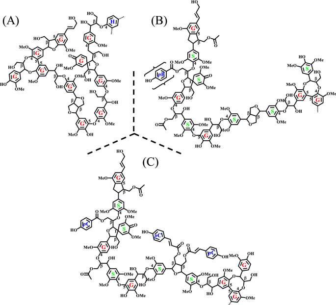 Torrefaction for the Pyrolysis of Industrial Kraft Lignin: Physicochemical  Characterization and Kinetic Triplet Determination