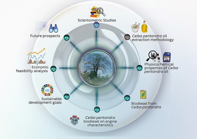 Sustainable biodiesel production from Ceiba pentandra (Kapok): a scientometric and technological assessment with performance, emission insights, and future challenges | Biotechnology for Biofuels and Bioproducts | Springer Nature Link Sustainable biodiesel production from Ceiba pentandra (Kapok): a scientometric and technological assessment with performance, emission insights, and future challenges | Biotechnology for Biofuels and Bioproducts | Springer Nature Link