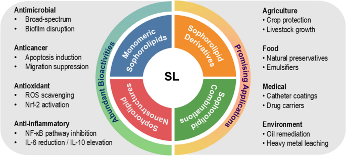 kb glutathione side effects Sophorolipids: multifunctional microbial glycolipids with diverse  bioactivities and applications | Biotechnology for Biofuels and Bioproducts