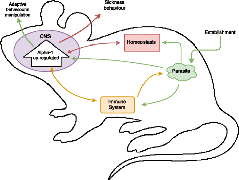 tobacco anti parasitic The missing link in parasite manipulation of host behaviour | Parasites &  Vectors