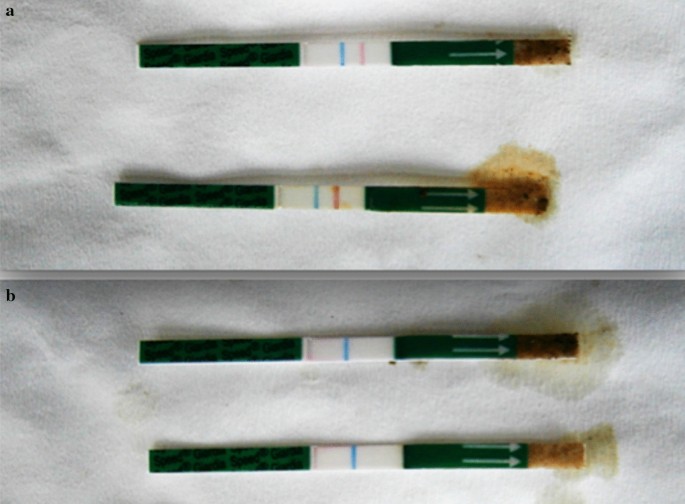 Rapid on-site diagnosis of canine giardiosis: time versus ...