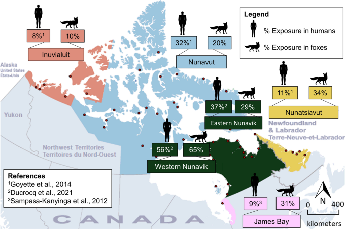 Cat parasite found in western Arctic Beluga deemed infectious