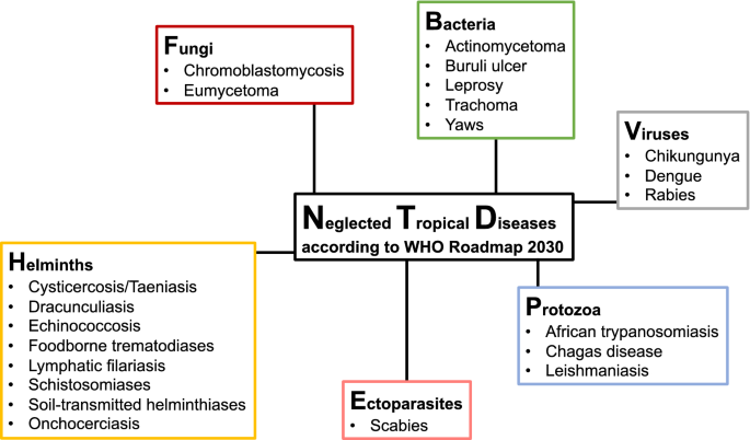 Forgotten Diseases Research Foundation