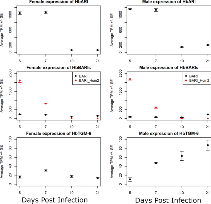 Transcriptional patterns of sexual dimorphism and in host developmental  programs in the model parasitic nematode Heligmosomoides bakeri, Parasites  & Vectors